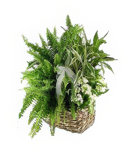 An Array of Abundance